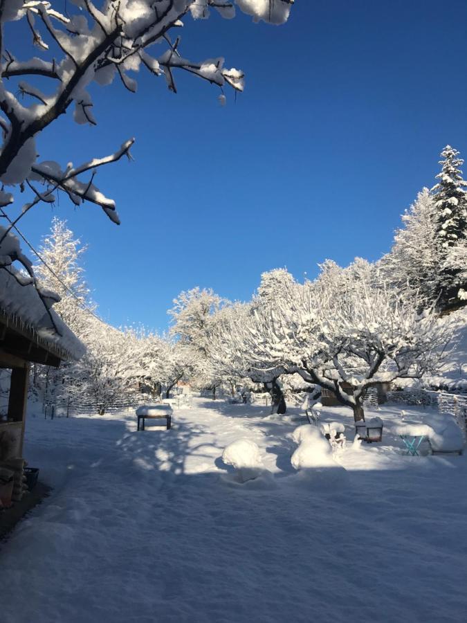 Appartamento La Cérisola B46 Saint-Étienne-de-Tinée Esterno foto