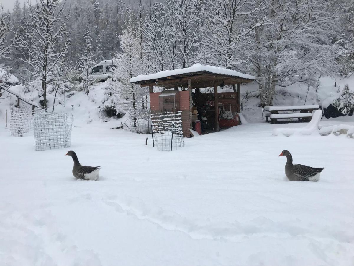 Appartamento La Cérisola B46 Saint-Étienne-de-Tinée Esterno foto