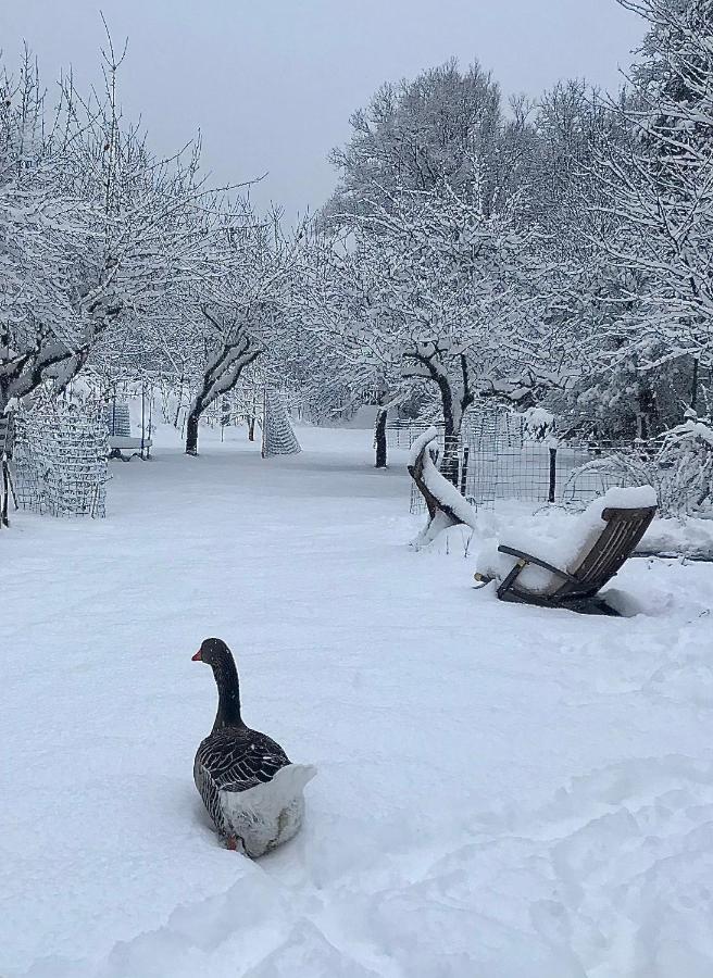 Appartamento La Cérisola B46 Saint-Étienne-de-Tinée Esterno foto