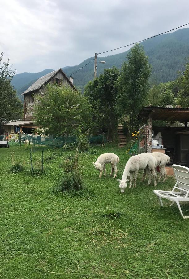 Appartamento La Cérisola B46 Saint-Étienne-de-Tinée Esterno foto