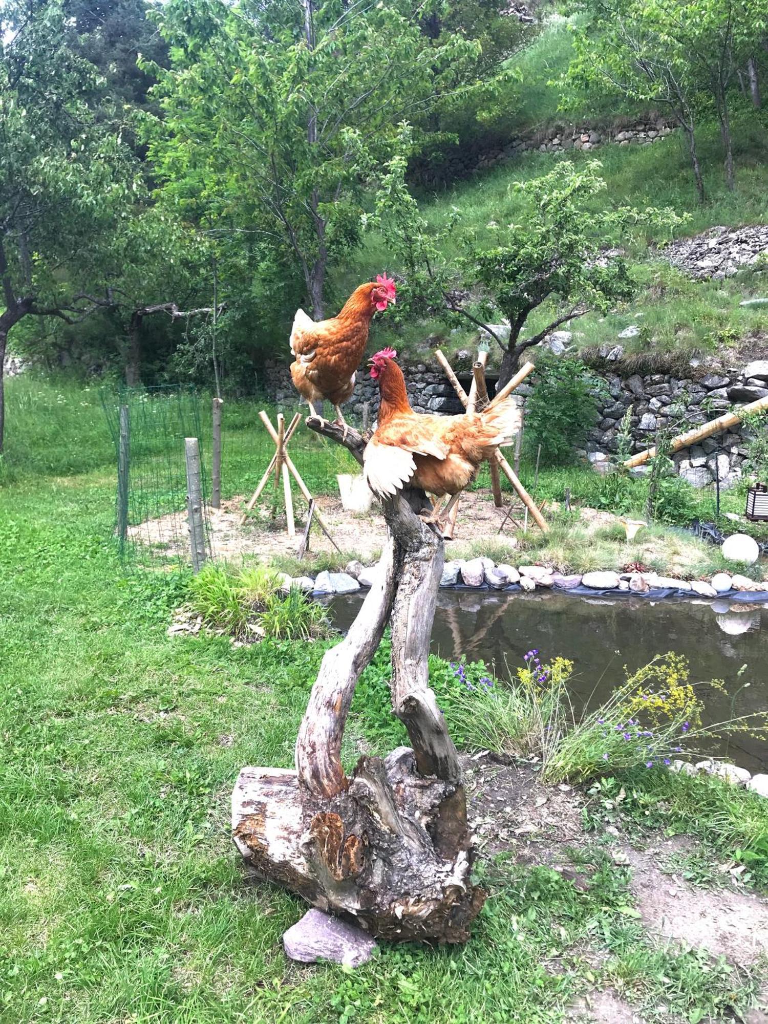 Appartamento La Cérisola B46 Saint-Étienne-de-Tinée Esterno foto