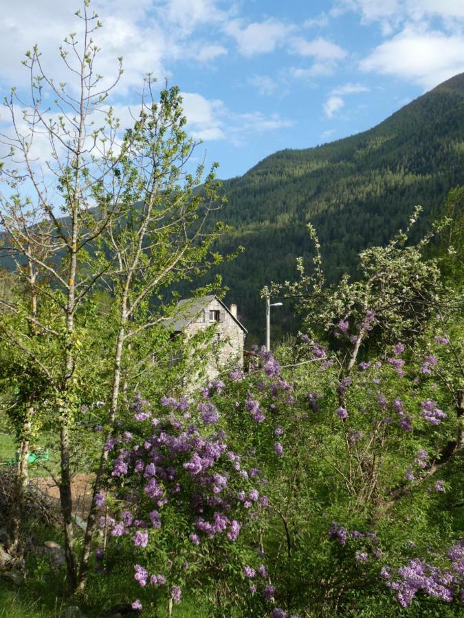 Appartamento La Cérisola B46 Saint-Étienne-de-Tinée Esterno foto